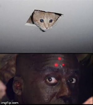 yer done | image tagged in memes,predator,ceiling cat,lasers | made w/ Imgflip meme maker
