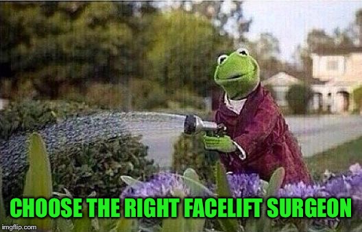Kermit Watering Plants | CHOOSE THE RIGHT FACELIFT SURGEON | image tagged in kermit watering plants | made w/ Imgflip meme maker