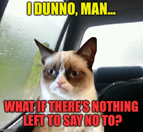 Introspective Grumpy Cat | I DUNNO, MAN... WHAT IF THERE’S NOTHING LEFT TO SAY NO TO? | image tagged in introspective grumpy cat | made w/ Imgflip meme maker
