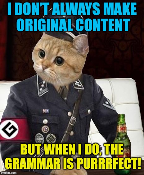 Most Interesting Grammar Cat | I DON’T ALWAYS MAKE ORIGINAL CONTENT BUT WHEN I DO, THE GRAMMAR IS PURRRFECT! | image tagged in most interesting grammar cat | made w/ Imgflip meme maker