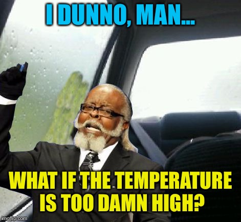 Introspective Too Damn High | I DUNNO, MAN... WHAT IF THE TEMPERATURE IS TOO DAMN HIGH? | image tagged in introspective too damn high | made w/ Imgflip meme maker
