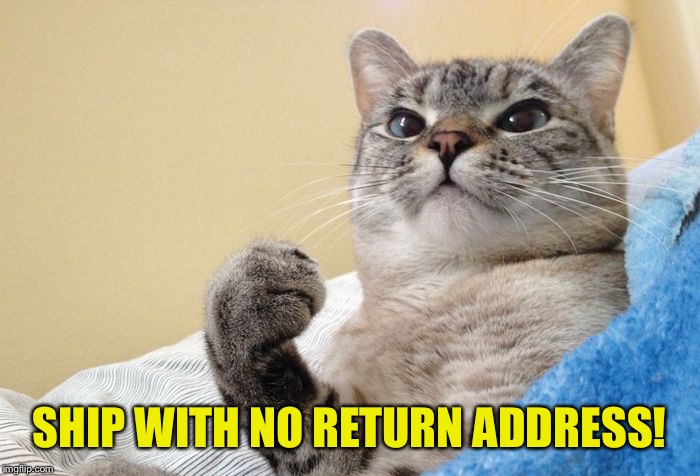 Success Cat #1 | SHIP WITH NO RETURN ADDRESS! | image tagged in success cat 1 | made w/ Imgflip meme maker