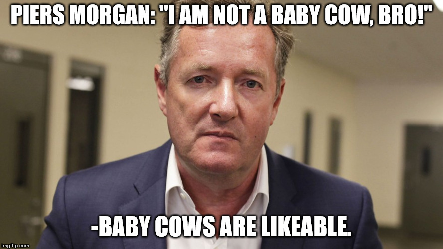 piers morgan | PIERS MORGAN: "I AM NOT A BABY COW, BRO!"; -BABY COWS ARE LIKEABLE. | image tagged in baby cow not | made w/ Imgflip meme maker