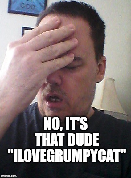 face palm | NO, IT'S THAT DUDE "ILOVEGRUMPYCAT" | image tagged in face palm | made w/ Imgflip meme maker