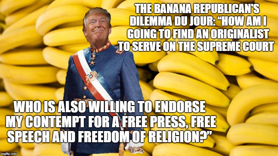 Banana Republican Dllemma Du Jour | THE BANANA REPUBLICAN'S DILEMMA DU JOUR: “HOW AM I GOING TO FIND AN ORIGINALIST TO SERVE ON THE SUPREME COURT; WHO IS ALSO WILLING TO ENDORSE MY CONTEMPT FOR A FREE PRESS, FREE SPEECH AND FREEDOM OF RELIGION?” | image tagged in bananas,president trump,donald drumpf | made w/ Imgflip meme maker