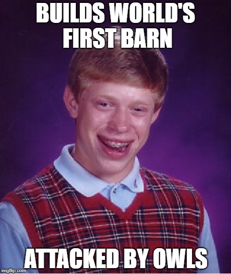 Bad Luck Brian Meme | BUILDS WORLD'S FIRST BARN ATTACKED BY OWLS | image tagged in memes,bad luck brian | made w/ Imgflip meme maker