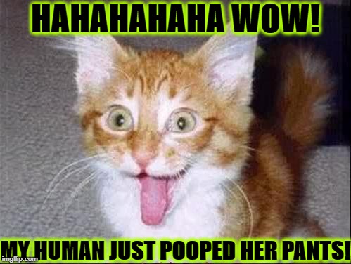 HAHAHAHAHA WOW! MY HUMAN JUST POOPED HER PANTS! | image tagged in poopy pants | made w/ Imgflip meme maker