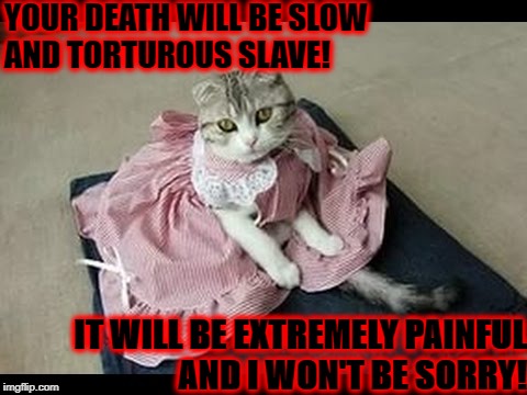 YOUR DEATH WILL BE SLOW AND TORTUROUS SLAVE! IT WILL BE EXTREMELY PAINFUL AND I WON'T BE SORRY! | image tagged in gonna die human | made w/ Imgflip meme maker