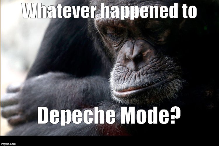 Koko | Whatever happened to Depeche Mode? | image tagged in koko | made w/ Imgflip meme maker
