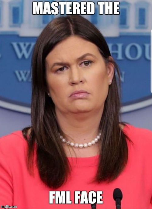 The Please Slap Me Look | MASTERED THE; FML FACE | image tagged in sarah huckabee sanders,lol,politics,political meme,humor,fml | made w/ Imgflip meme maker