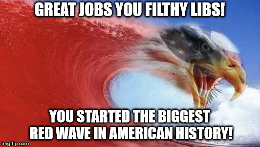 Red Wave | GREAT JOBS YOU FILTHY LIBS! YOU STARTED THE BIGGEST RED WAVE IN AMERICAN HISTORY! | image tagged in red wave | made w/ Imgflip meme maker