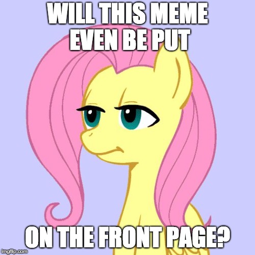 Probably not! :( | WILL THIS MEME EVEN BE PUT; ON THE FRONT PAGE? | image tagged in tired of your crap,memes,front page,ponies,xanderbrony | made w/ Imgflip meme maker