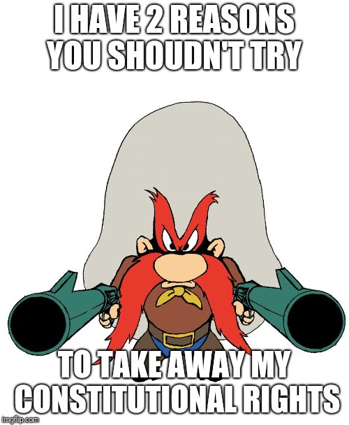 Yosemite Sam | I HAVE 2 REASONS YOU SHOUDN'T TRY; TO TAKE AWAY MY CONSTITUTIONAL RIGHTS | image tagged in yosemite sam | made w/ Imgflip meme maker