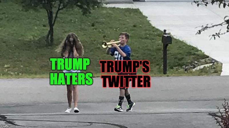 Trump's Twitter and Trump Haters | TRUMP'S TWITTER; TRUMP HATERS | image tagged in trumpet boy object labeling,memes,donald trump,twitter,haters | made w/ Imgflip meme maker