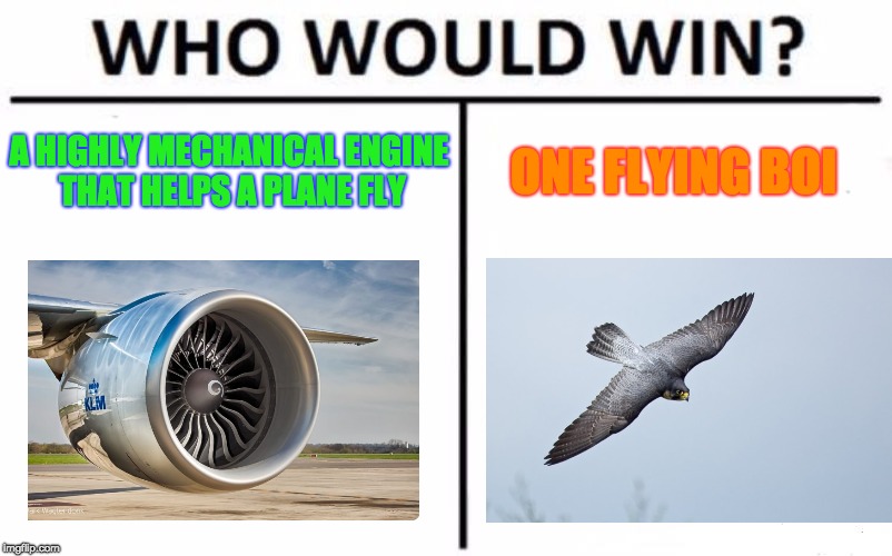 Who Would Win? Meme | A HIGHLY MECHANICAL ENGINE THAT HELPS A PLANE FLY; ONE FLYING BOI | image tagged in memes,who would win | made w/ Imgflip meme maker