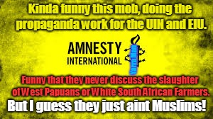 Kinda funny this mob, doing the propaganda work for the UIN and EIU. Yarra Man; Funny that they never discuss the slaughter of West Papuans or White South African Farmers. But I guess they just aint Muslims! | image tagged in amnesty international | made w/ Imgflip meme maker