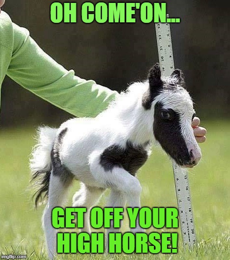 OH COME'ON... GET OFF YOUR HIGH HORSE! | image tagged in high horse | made w/ Imgflip meme maker