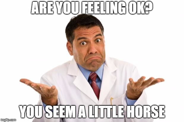 ARE YOU FEELING OK? YOU SEEM A LITTLE HORSE | made w/ Imgflip meme maker