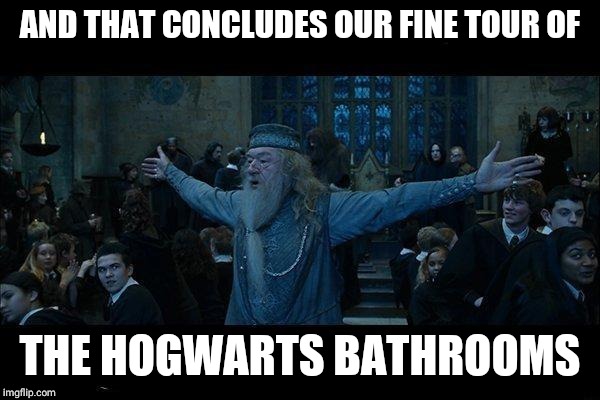 Dumbledore | AND THAT CONCLUDES OUR FINE TOUR OF; THE HOGWARTS BATHROOMS | image tagged in dumbledore | made w/ Imgflip meme maker
