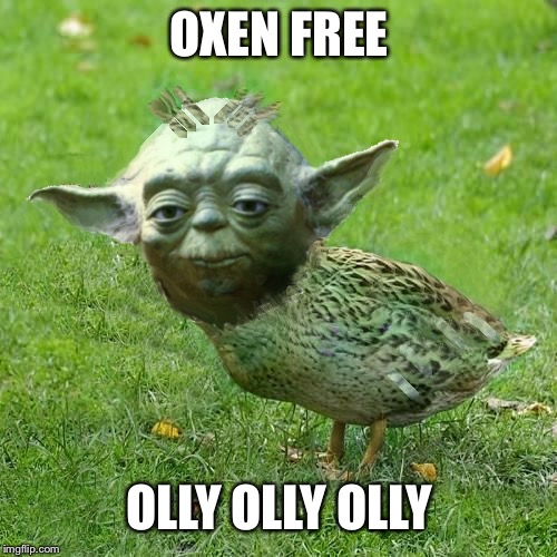 The can I kick | OXEN FREE; OLLY OLLY OLLY | image tagged in yoda duck,thats the way if the force,it is debate,he let you know how when,tools to the meme,star wars | made w/ Imgflip meme maker