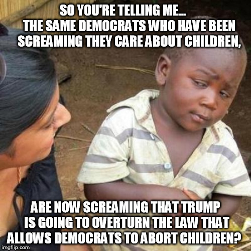SO YOU'RE TELLING ME...     THE SAME DEMOCRATS WHO HAVE BEEN  SCREAMING THEY CARE ABOUT CHILDREN, ARE NOW SCREAMING THAT TRUMP IS GOING TO OVERTURN THE LAW THAT ALLOWS DEMOCRATS TO ABORT CHILDREN? | image tagged in democrat party,democrats,abortion,abortion is murder,liberal logic | made w/ Imgflip meme maker
