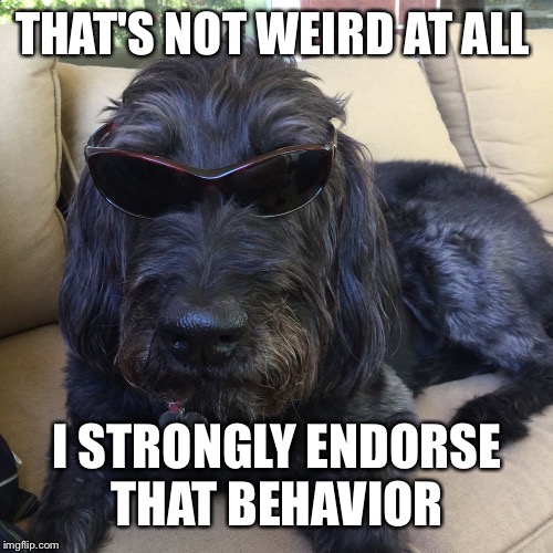 THAT'S NOT WEIRD AT ALL I STRONGLY ENDORSE THAT BEHAVIOR | made w/ Imgflip meme maker