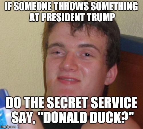 10 Guy | IF SOMEONE THROWS SOMETHING AT PRESIDENT TRUMP; DO THE SECRET SERVICE SAY, "DONALD DUCK?" | image tagged in memes,10 guy | made w/ Imgflip meme maker