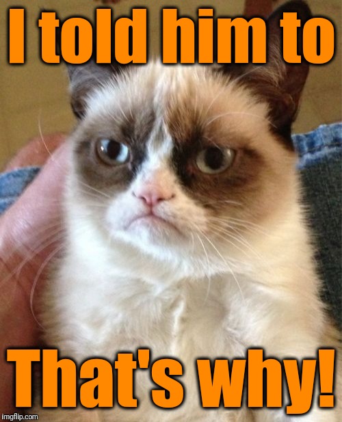 Grumpy Cat Meme | I told him to That's why! | image tagged in memes,grumpy cat | made w/ Imgflip meme maker