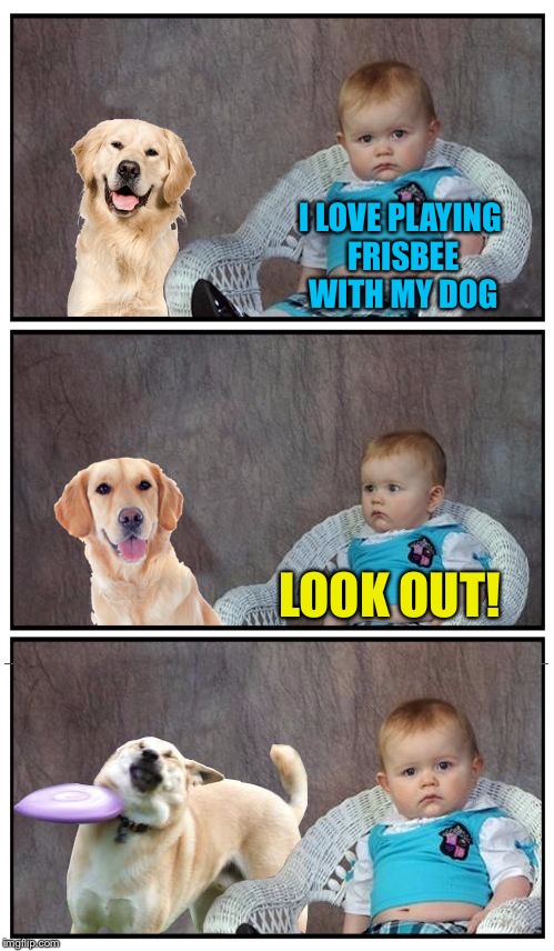 Dad Joke Frisbee Dog | I LOVE PLAYING FRISBEE WITH MY DOG; LOOK OUT! | image tagged in dad joke frisbee dog,memes,summer,5 seconds of summer,bonehurtingjuice | made w/ Imgflip meme maker
