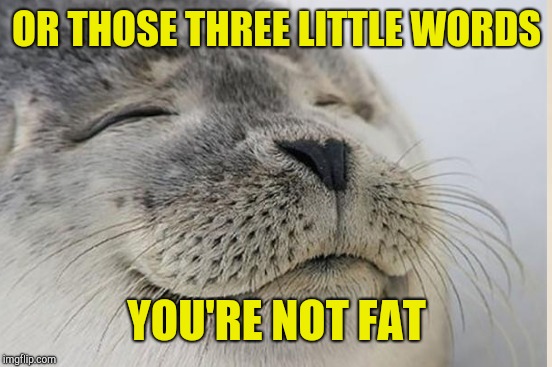 OR THOSE THREE LITTLE WORDS YOU'RE NOT FAT | made w/ Imgflip meme maker