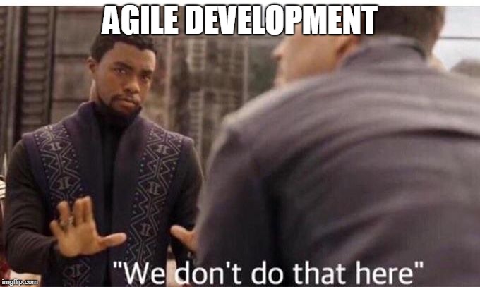 We dont do that here | AGILE DEVELOPMENT | image tagged in we dont do that here | made w/ Imgflip meme maker