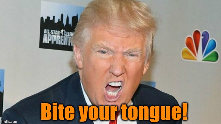 Bite your tongue! | image tagged in trump mad | made w/ Imgflip meme maker