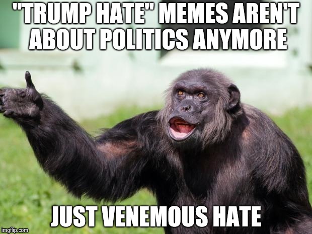 Gorilla your dreams | "TRUMP HATE" MEMES AREN'T ABOUT POLITICS ANYMORE JUST VENEMOUS HATE | image tagged in gorilla your dreams | made w/ Imgflip meme maker