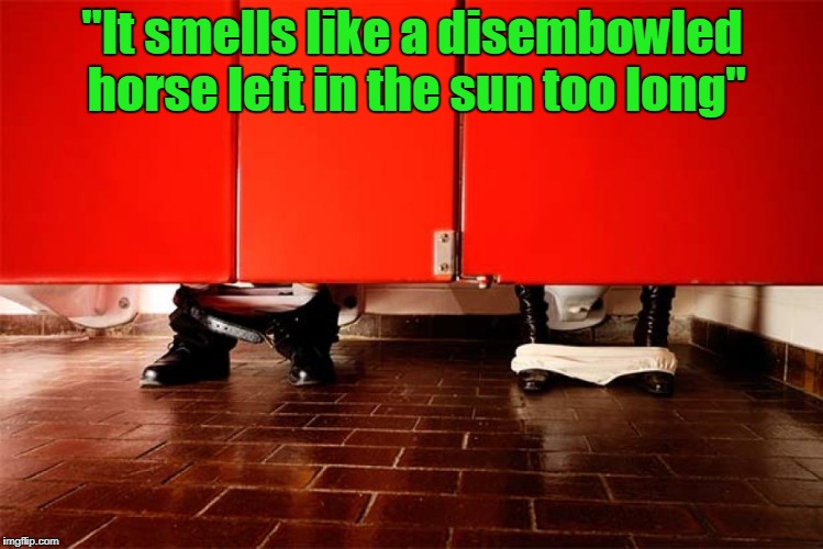 "It smells like a disembowled horse left in the sun too long" | made w/ Imgflip meme maker