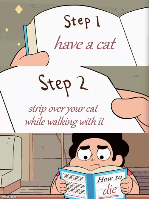steven's rule book | have a cat strip over your cat while walking with it die | image tagged in steven's rule book | made w/ Imgflip meme maker