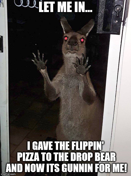 Kangaroo | LET ME IN... I GAVE THE FLIPPIN' PIZZA TO THE DROP BEAR AND NOW ITS GUNNIN FOR ME! | image tagged in kangaroo | made w/ Imgflip meme maker