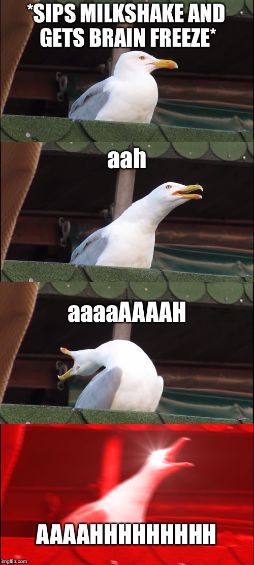 Inhaling Seagull | *SIPS MILKSHAKE AND GETS BRAIN FREEZE*; aah; aaaaAAAAH; AAAAHHHHHHHHH | image tagged in memes,inhaling seagull | made w/ Imgflip meme maker