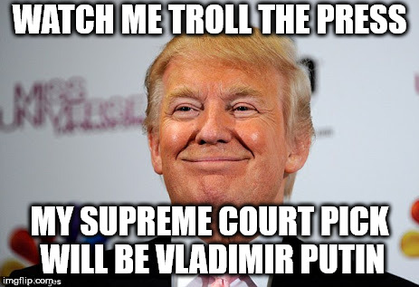 Donald trump approves | WATCH ME TROLL THE PRESS; MY SUPREME COURT PICK WILL BE VLADIMIR PUTIN | image tagged in donald trump approves | made w/ Imgflip meme maker