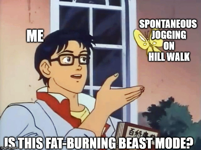 ANIME BUTTERFLY MEME | SPONTANEOUS JOGGING ON HILL WALK; ME; IS THIS FAT-BURNING BEAST MODE? | image tagged in anime butterfly meme | made w/ Imgflip meme maker