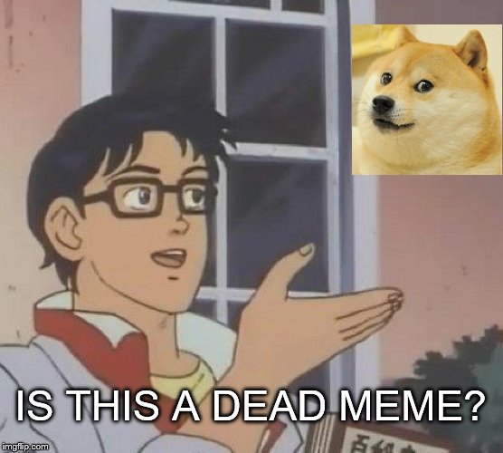 Sorry to break it to you, doge, but you're a dead meme | IS THIS A DEAD MEME? | image tagged in memes,is this a pigeon,doge,dead meme | made w/ Imgflip meme maker