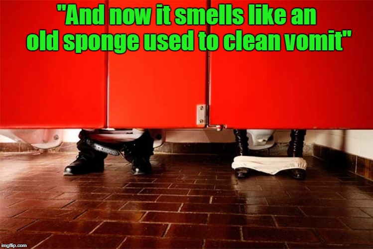 "And now it smells like an old sponge used to clean vomit" | made w/ Imgflip meme maker