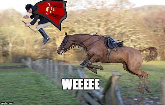 Up, up, and awaaaayyyy! | WEEEEE | image tagged in horse,horses,superman,dc comics,dc,fail | made w/ Imgflip meme maker