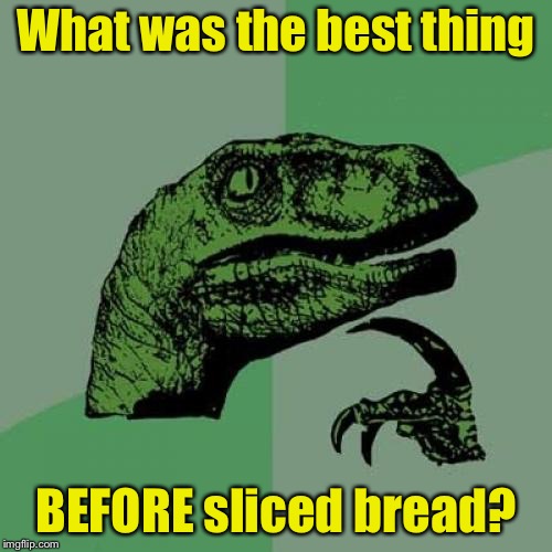 Philosoraptor Meme | What was the best thing; BEFORE sliced bread? | image tagged in memes,philosoraptor | made w/ Imgflip meme maker