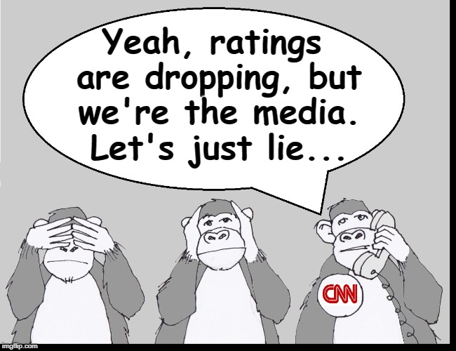 Imagination is Better than Truth... well, unless you're a Reporter | Yeah, ratings are dropping, but we're the media. Let's just lie... | image tagged in vince vance,msnbc,fake news,washington post,new york times,cnn | made w/ Imgflip meme maker