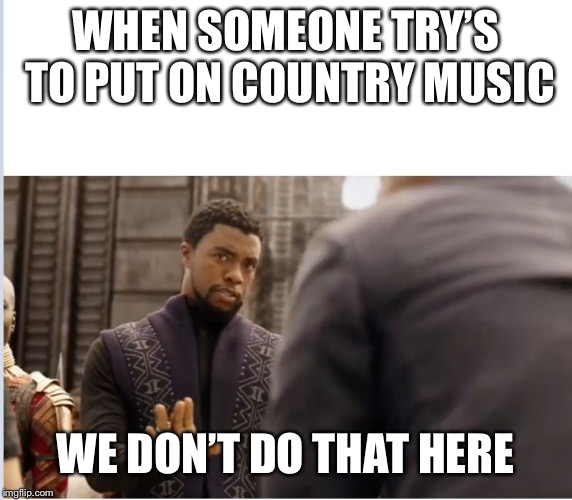 We don’t do that here  | WHEN SOMEONE TRY’S TO PUT ON COUNTRY MUSIC; WE DON’T DO THAT HERE | image tagged in we dont do that here | made w/ Imgflip meme maker