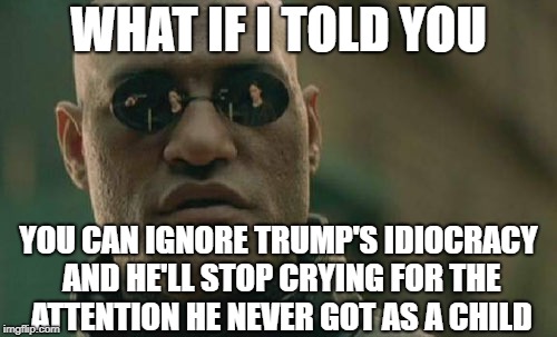 Matrix Morpheus Meme | WHAT IF I TOLD YOU; YOU CAN IGNORE TRUMP'S IDIOCRACY AND HE'LL STOP CRYING FOR THE ATTENTION HE NEVER GOT AS A CHILD | image tagged in memes,matrix morpheus | made w/ Imgflip meme maker