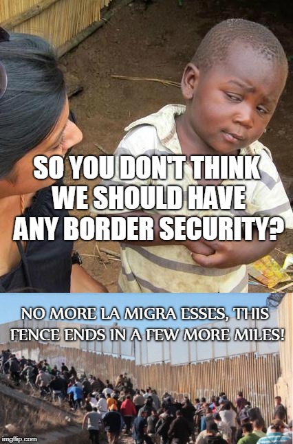 Abolish Ice  | SO YOU DON'T THINK WE SHOULD HAVE ANY BORDER SECURITY? NO MORE LA MIGRA ESSES, THIS FENCE ENDS IN A FEW MORE MILES! | image tagged in immigration,ice,fence aka border wall,third world skeptical kid,memes | made w/ Imgflip meme maker