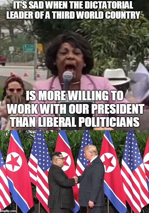 IT'S SAD WHEN THE DICTATORIAL LEADER OF A THIRD WORLD COUNTRY IS MORE WILLING TO WORK WITH OUR PRESIDENT THAN LIBERAL POLITICIANS | made w/ Imgflip meme maker