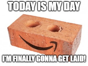 Feeling like the last brick on the pallet today. | TODAY IS MY DAY; I'M FINALLY GONNA GET LAID! | image tagged in funny memes,humor | made w/ Imgflip meme maker