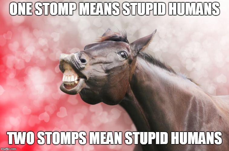 ONE STOMP MEANS STUPID HUMANS TWO STOMPS MEAN STUPID HUMANS | made w/ Imgflip meme maker